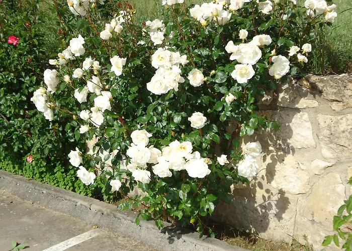 Silos 2000 3* Santo Domingo De Silos
